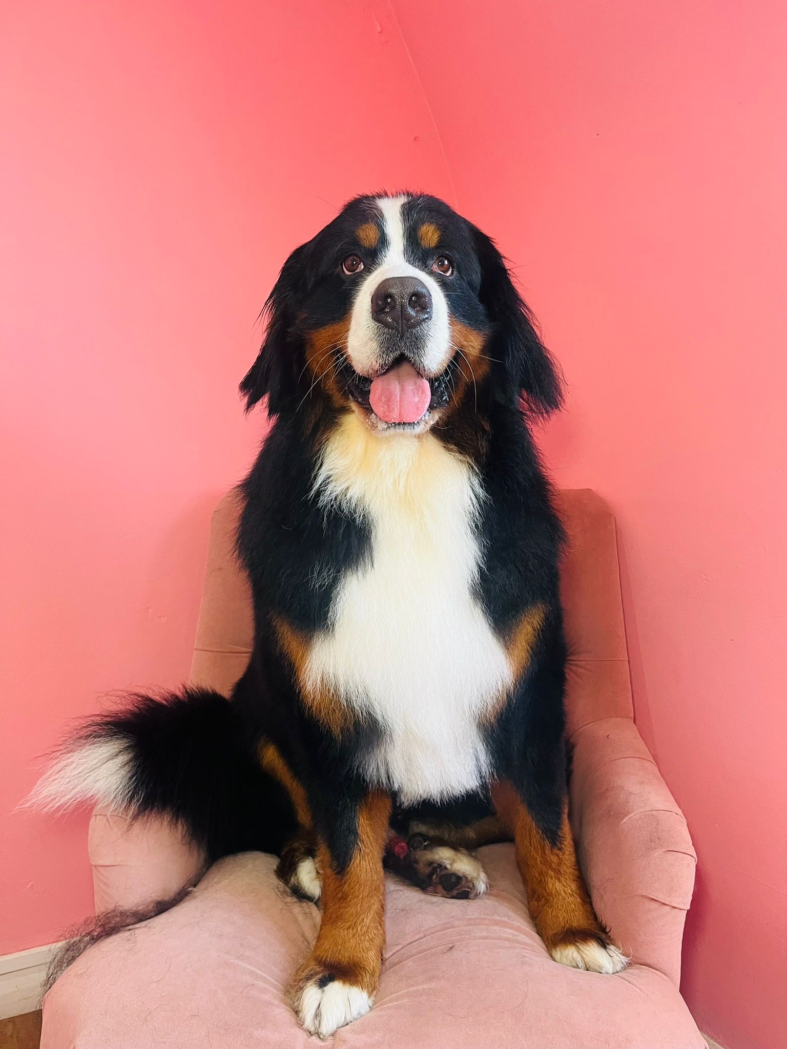 Recent groom at Sam's Scrub Club, Liverpool
